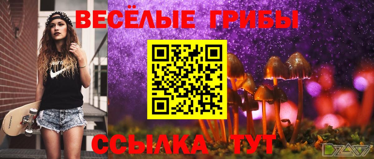 Энгельс  сколько стоит  Вход с VPN  Галлюциногенные грибы Cubensis 