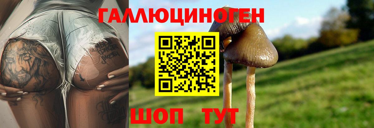 Энгельс  ЭКСТАЗИ  Кокаин  Мефедрон   Вход с VPN  Гашиш  Конопля 